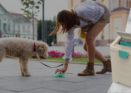 dog poop disposal system