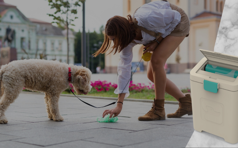 dog poop disposal system