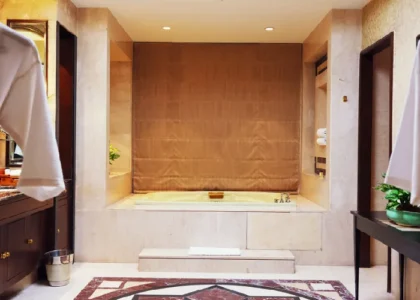 hotels in nehru place delhi