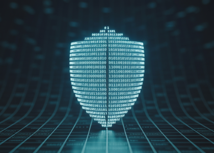 Cybersecurity shield protecting data network